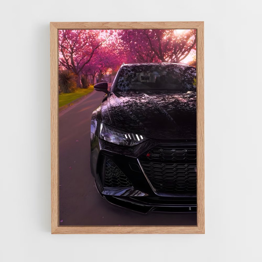 ap-rs6-4 cadre Bois clair