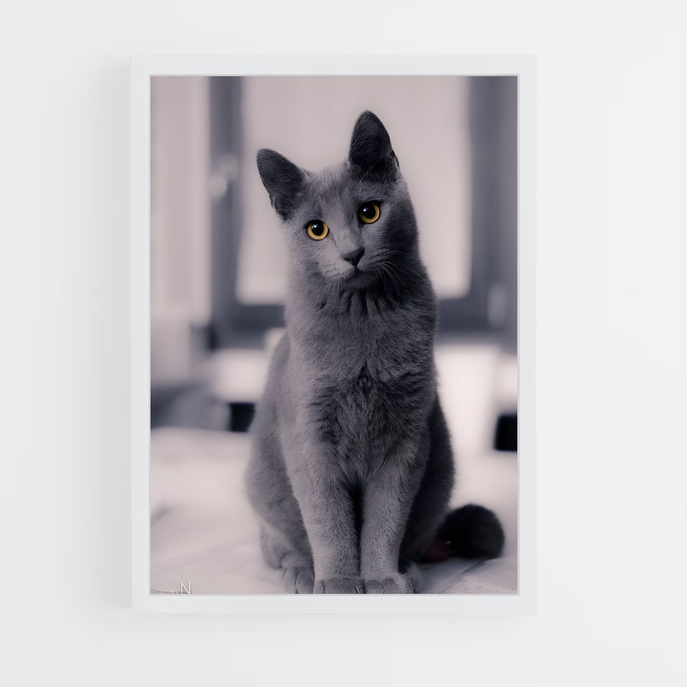 ap-russian blue-1 cadre Blanc