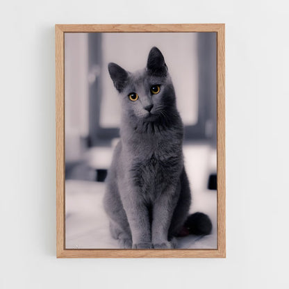 ap-russian blue-1 cadre Bois clair