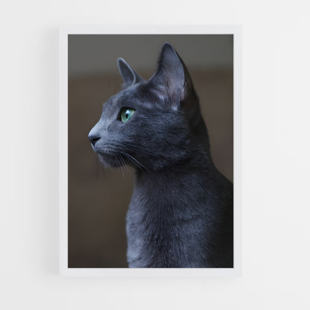 ap-russian blue-2 cadre Blanc
