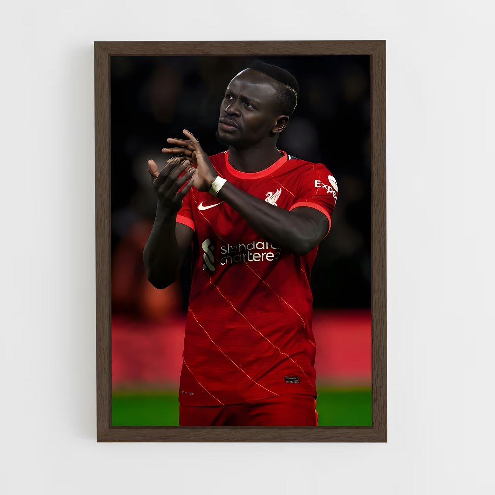 ap-sadio mane-14 cadre Bois foncé