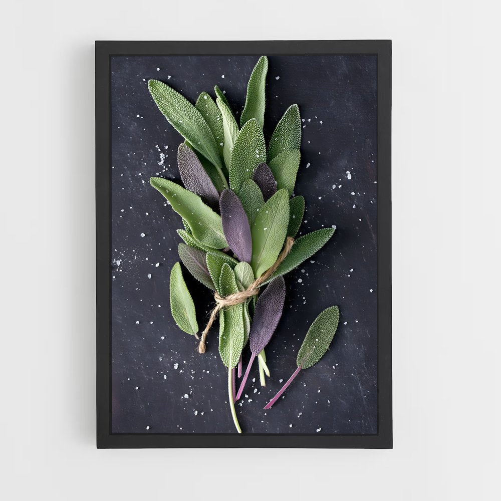 ap-sage-12 cadre Noir