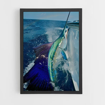 ap-sailfish-5 cadre Noir