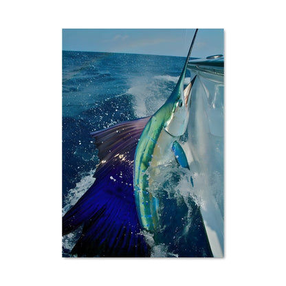 Poster Le Poisson Volant