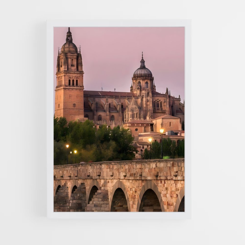 ap-salamanca-1 cadre Blanc