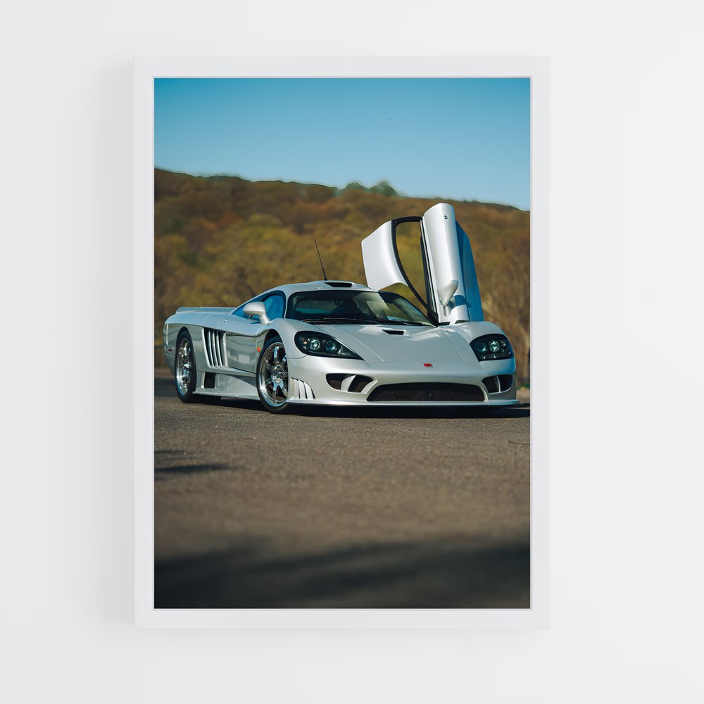 ap-saleen-1 cadre Blanc