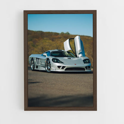 ap-saleen-1 cadre Bois foncé