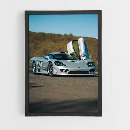 ap-saleen-1 cadre Noir