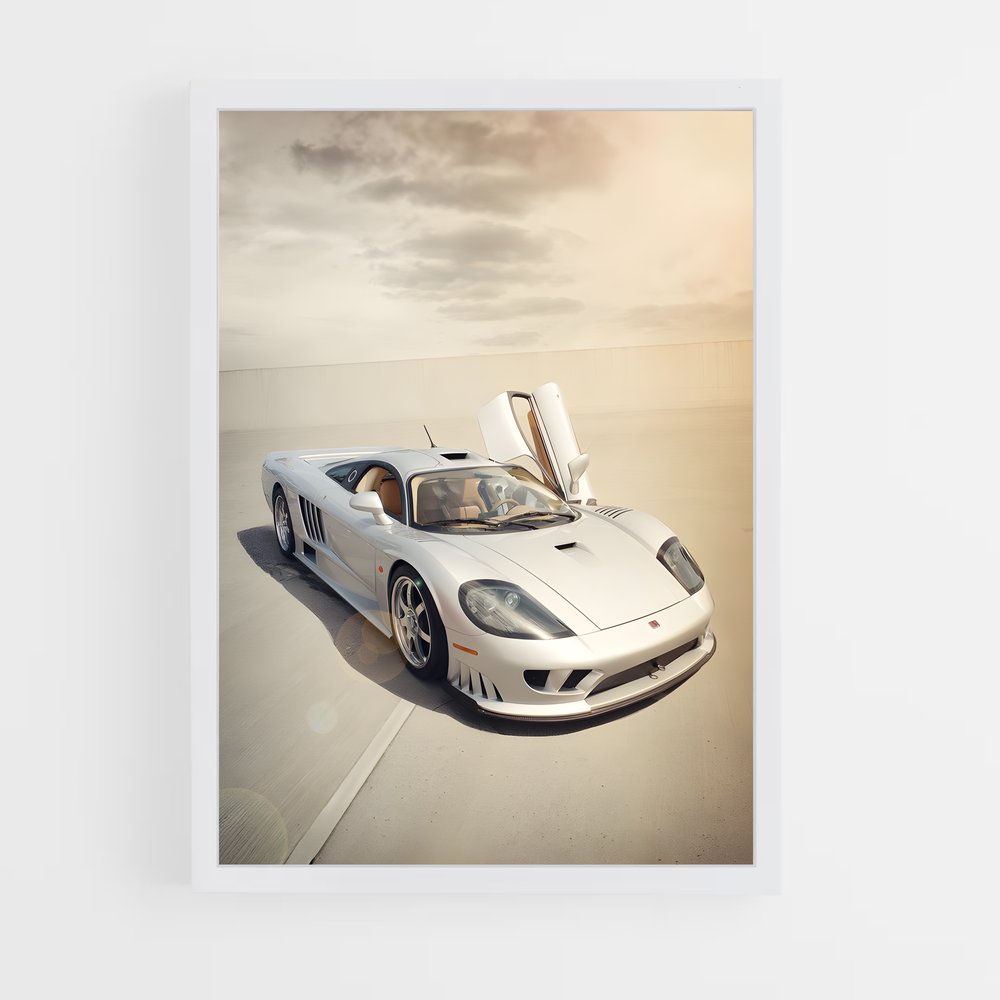 ap-saleen-2 cadre Blanc