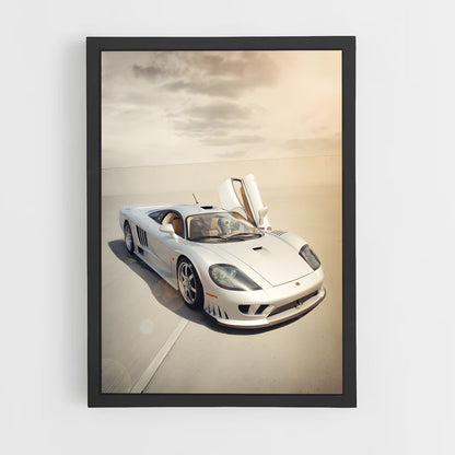 ap-saleen-2 cadre Noir