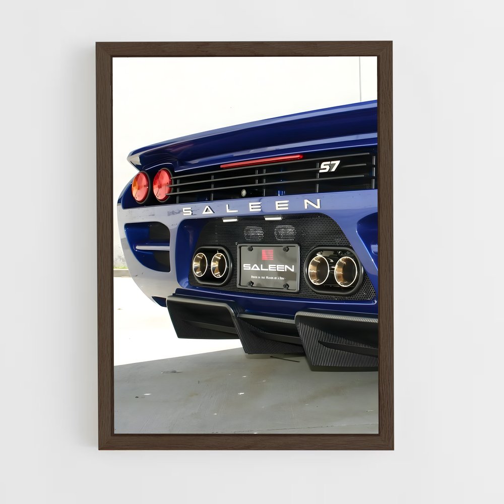 ap-saleen-5 cadre Bois foncé