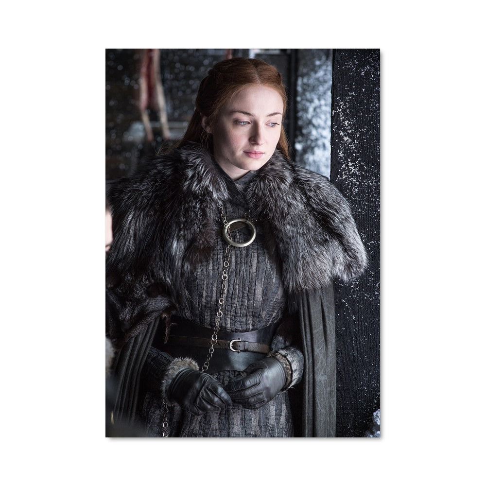 Poster Sansa en Hiver