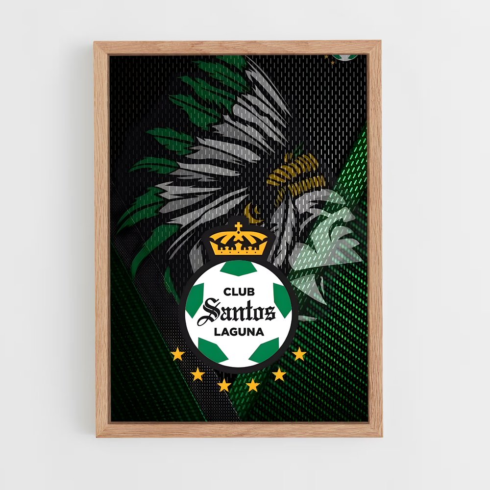 ap-santos laguna-1 cadre Bois clair