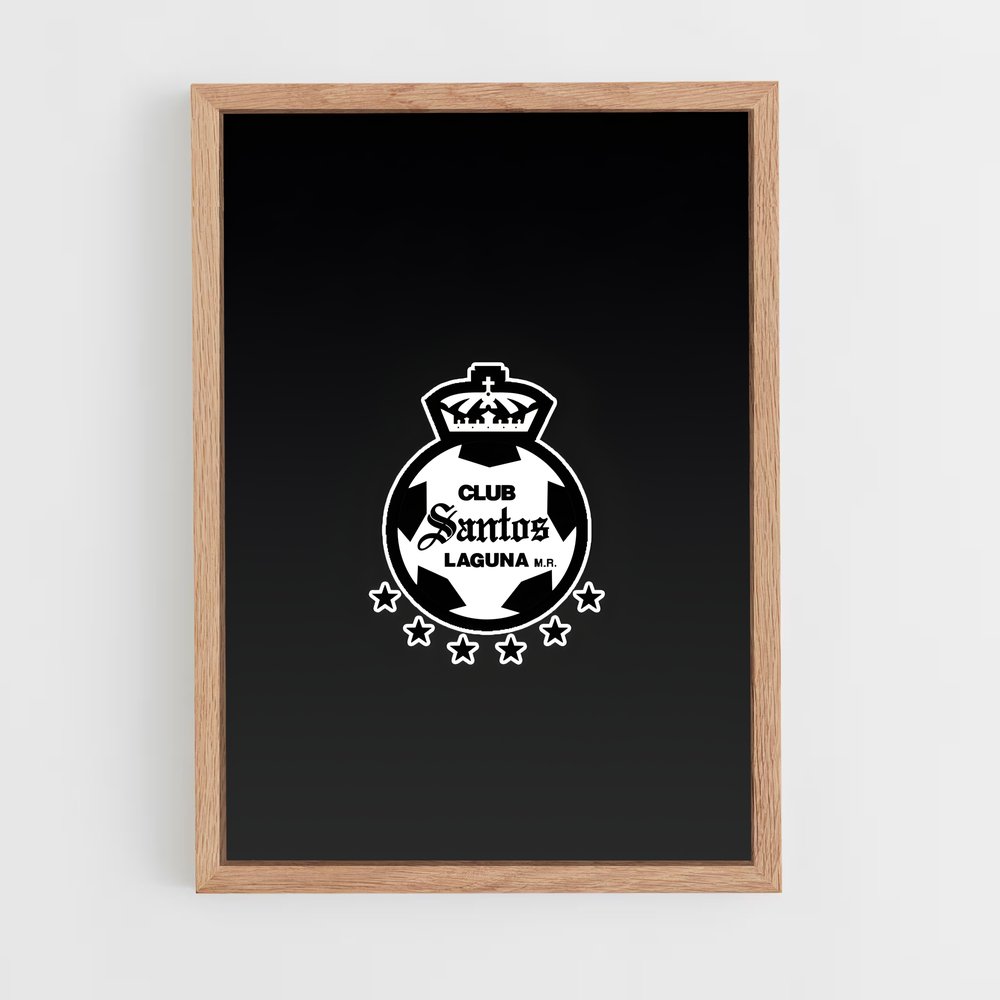 ap-santos laguna-7 cadre Bois clair