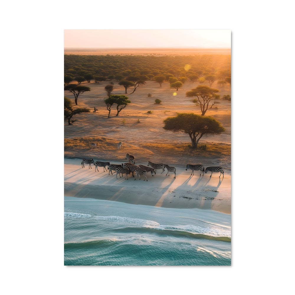 Poster Zebres au Crépuscule