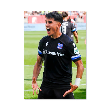 Poster Sc heerenveen 72880