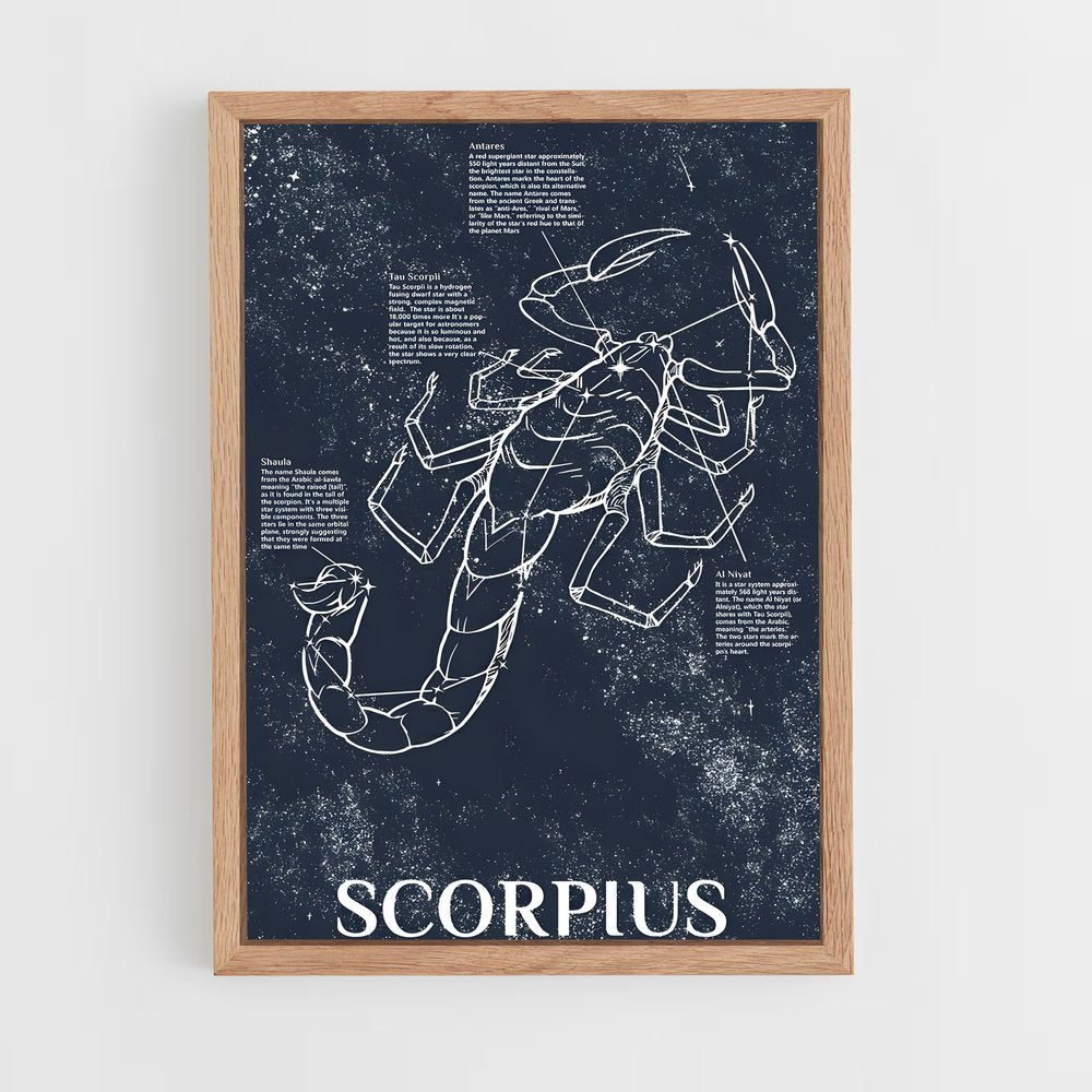 ap-scorpius-1 cadre Bois clair