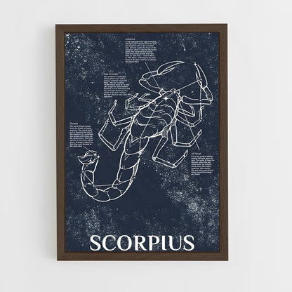 ap-scorpius-1 cadre Bois foncé