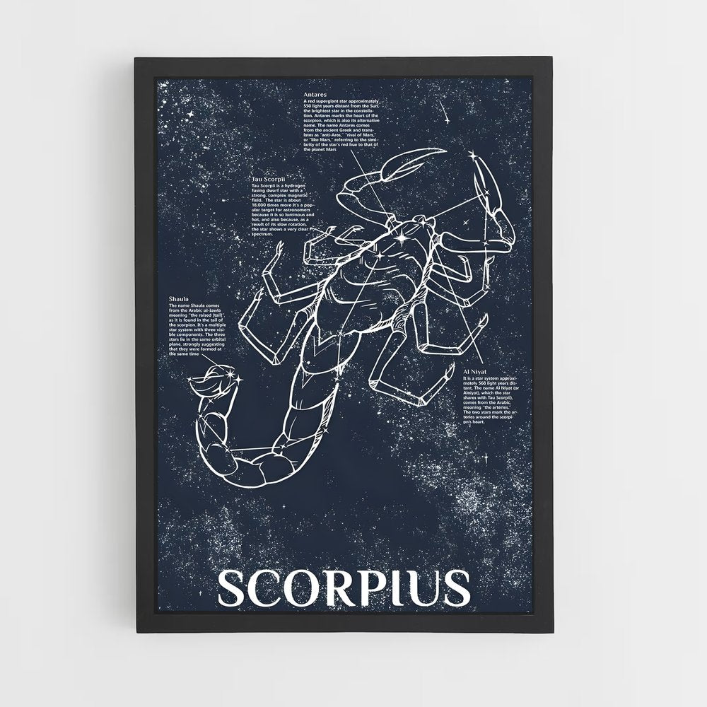 ap-scorpius-1 cadre Noir