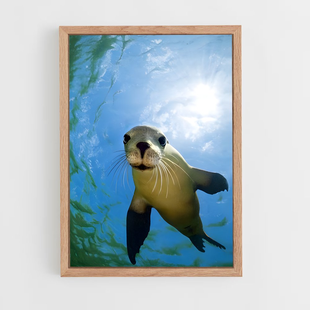 ap-sea lion-1 cadre Bois clair