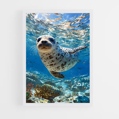 ap-sea lion-2 cadre Blanc