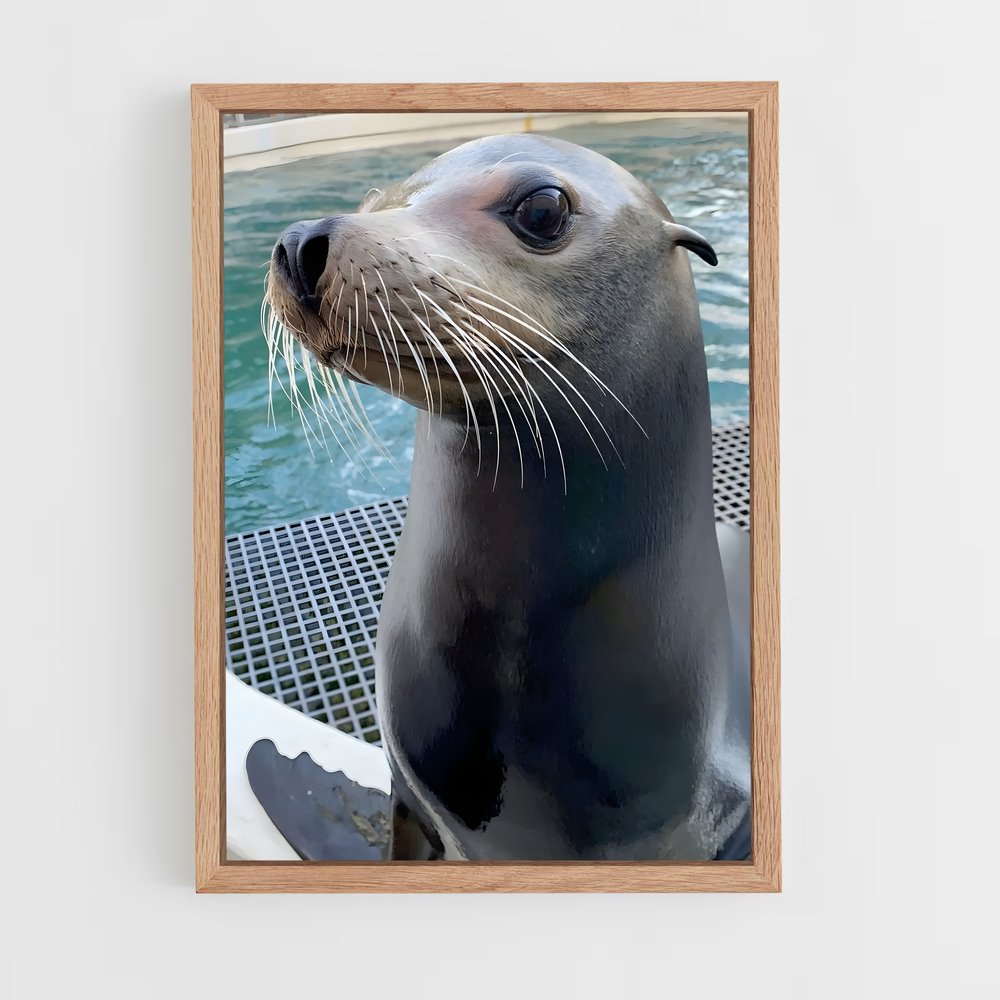 ap-sea lion-3 cadre Bois clair