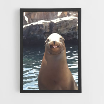 ap-sea lion-5 cadre Noir