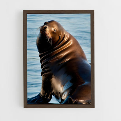 ap-sea lion-7 cadre Bois foncé