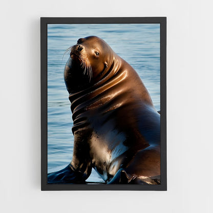 ap-sea lion-7 cadre Noir