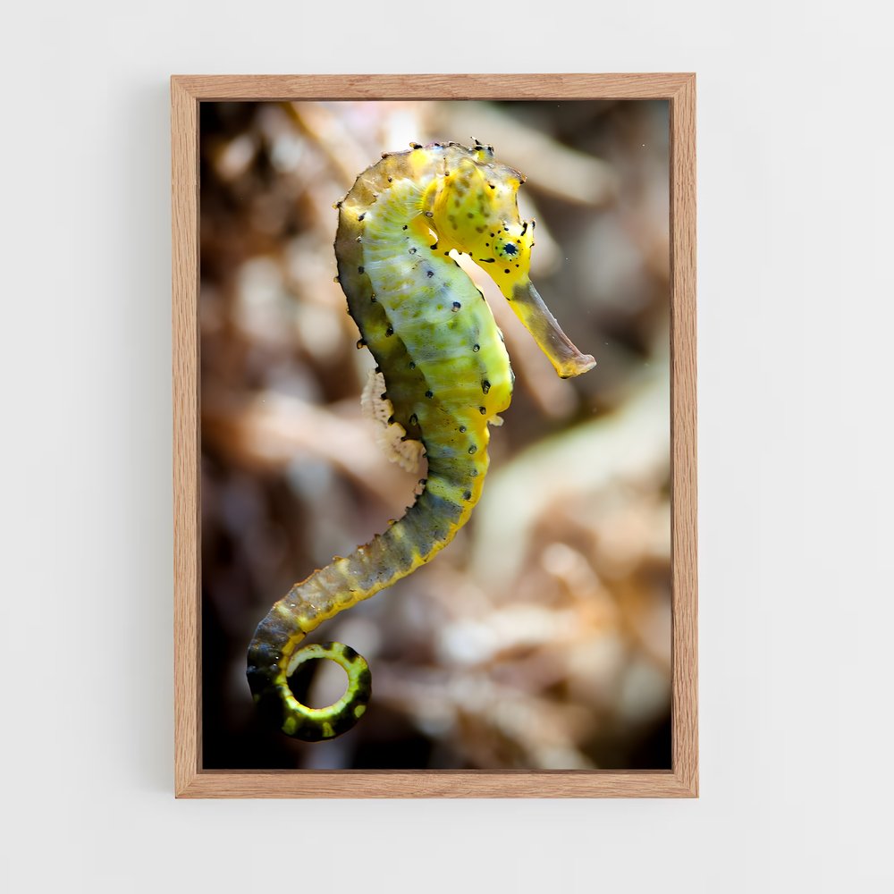 ap-seahorse-7 cadre Bois clair