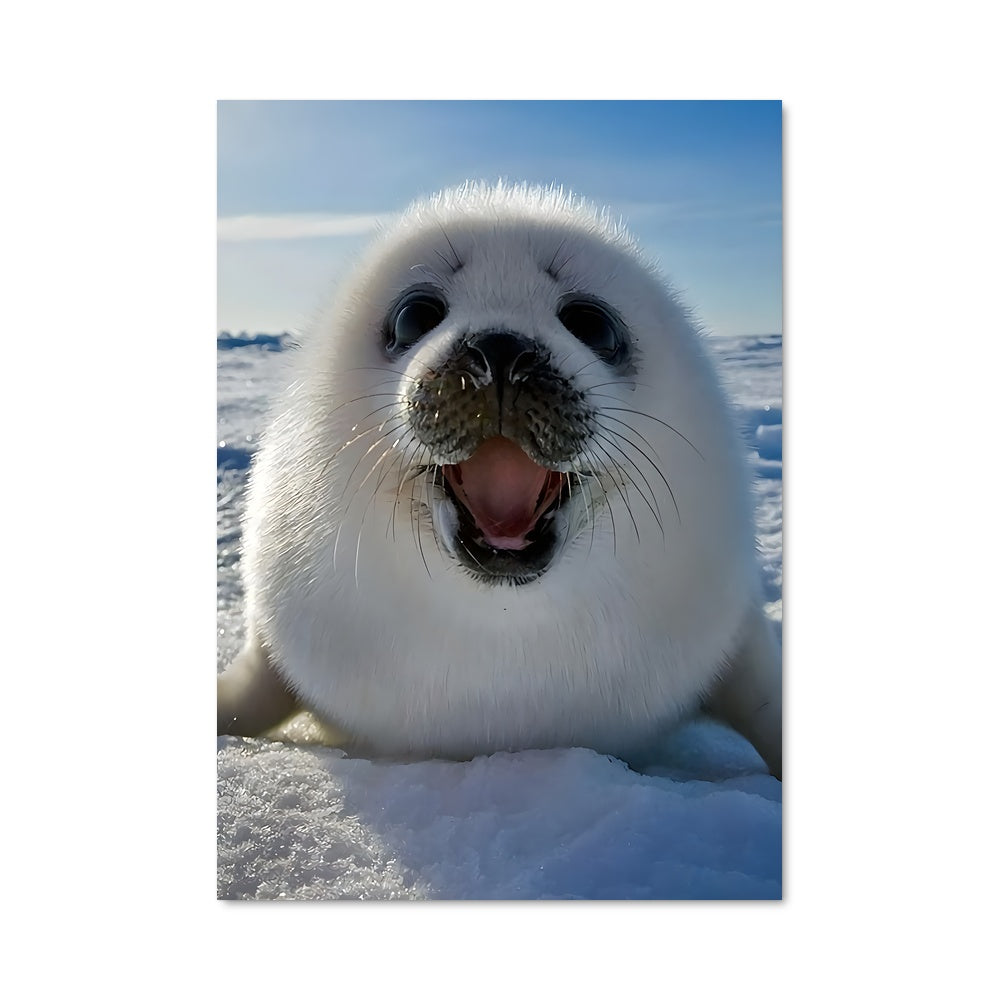 Poster La Danse du Phoque