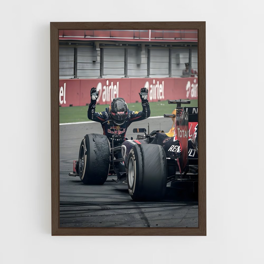 ap-sebastian vettel-1 cadre Bois foncé