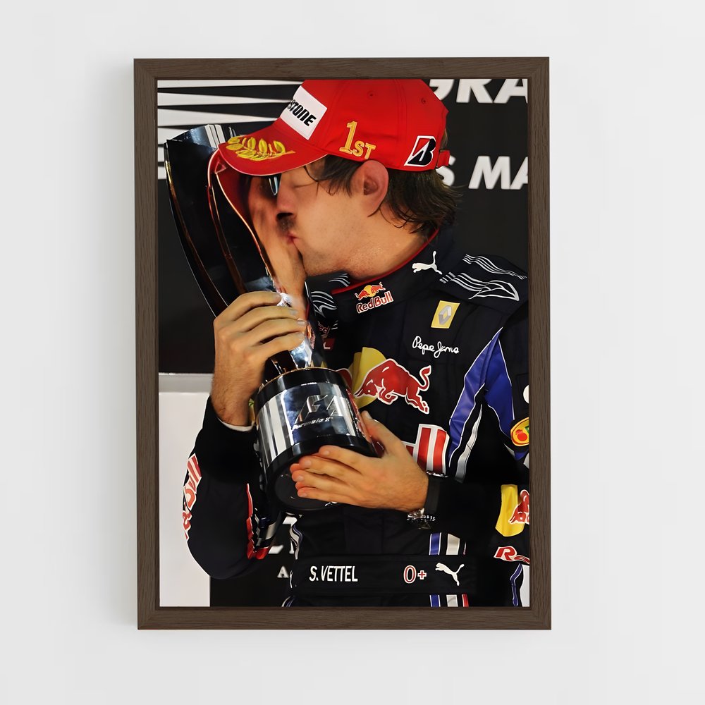 ap-sebastian vettel-3 cadre Bois foncé