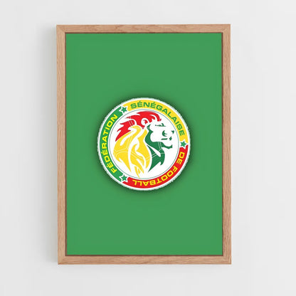 ap-senegal national football team-1 cadre Bois clair