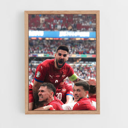 ap-serbia national football team-1 cadre Bois clair