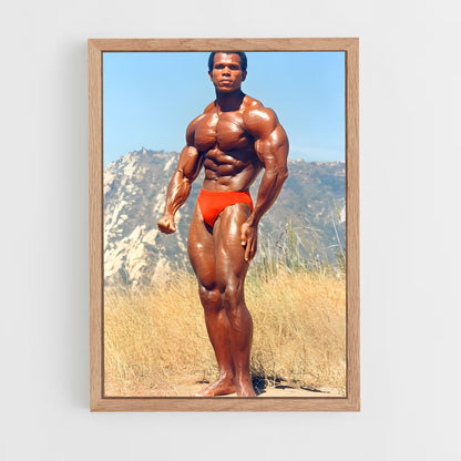 ap-serge nubret-1 cadre Bois clair