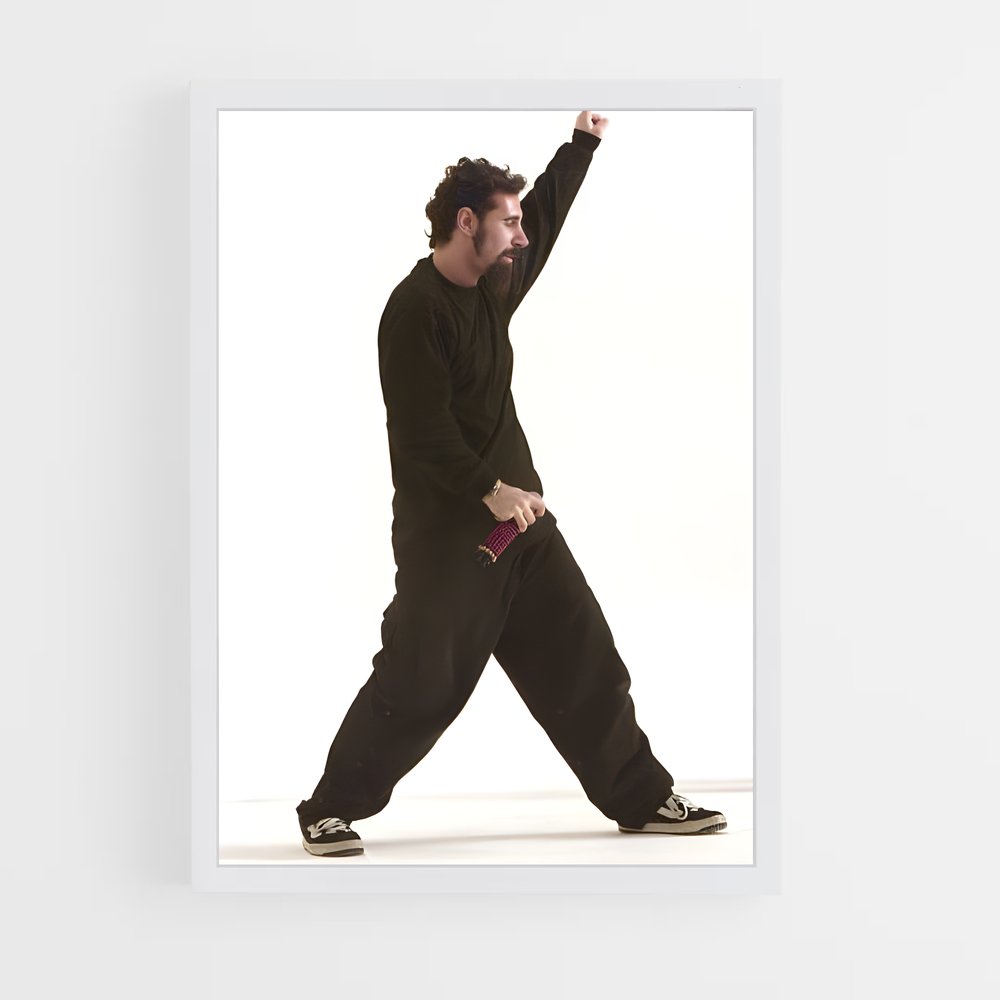 ap-serj tankian-1 cadre Blanc