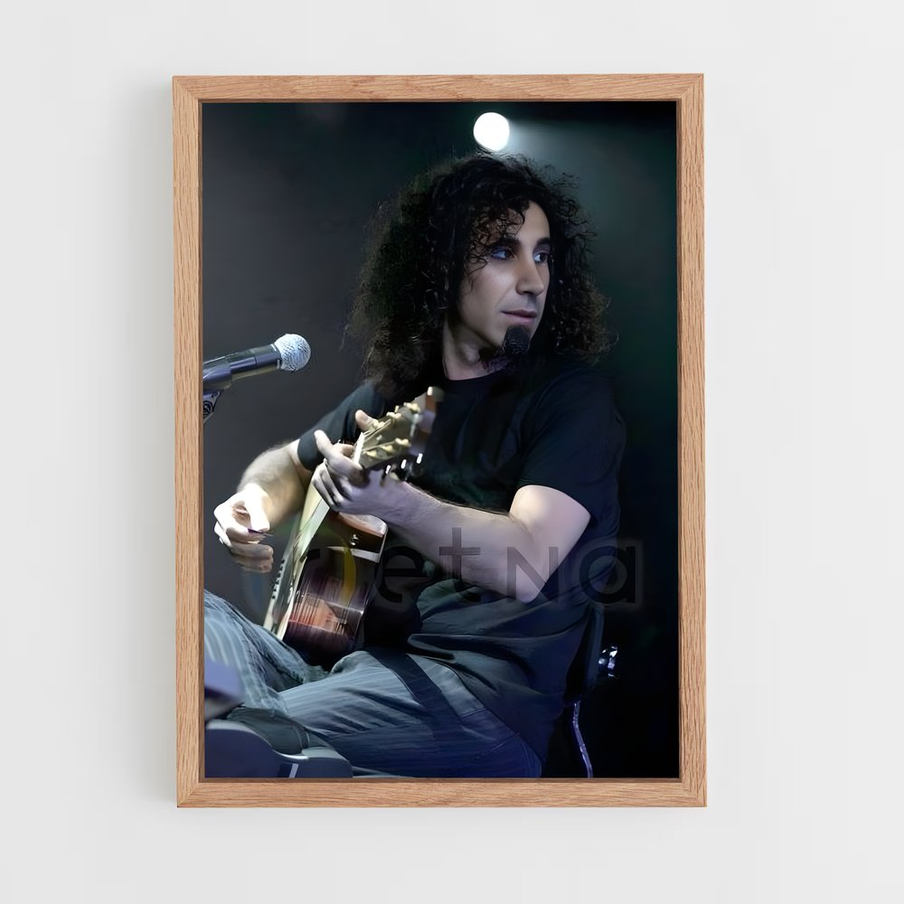 ap-serj tankian-2 cadre Bois clair