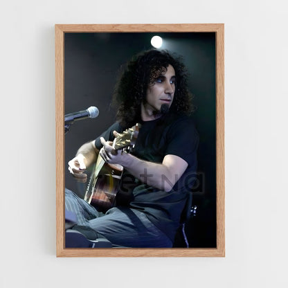 ap-serj tankian-2 cadre Bois clair