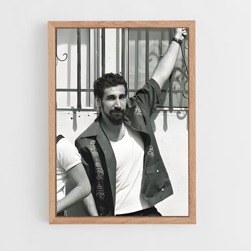 ap-serj tankian-3 cadre Bois clair