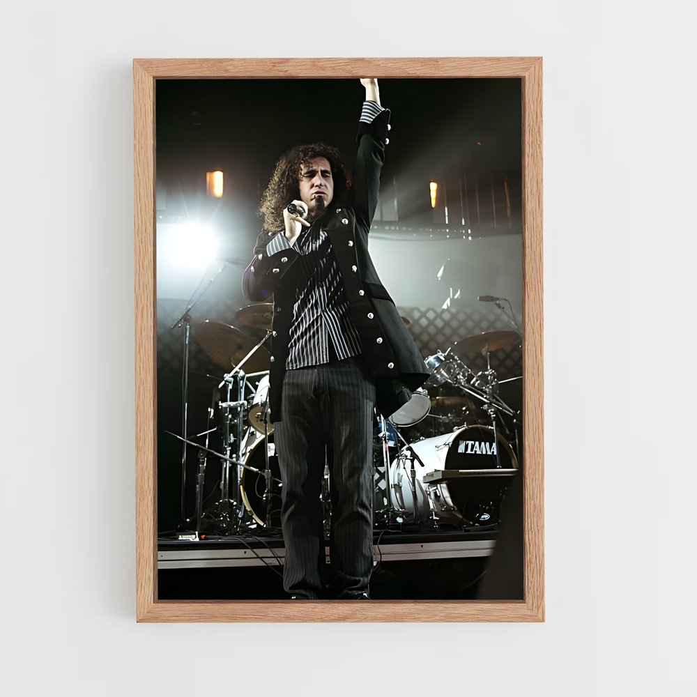 ap-serj tankian-4 cadre Bois clair