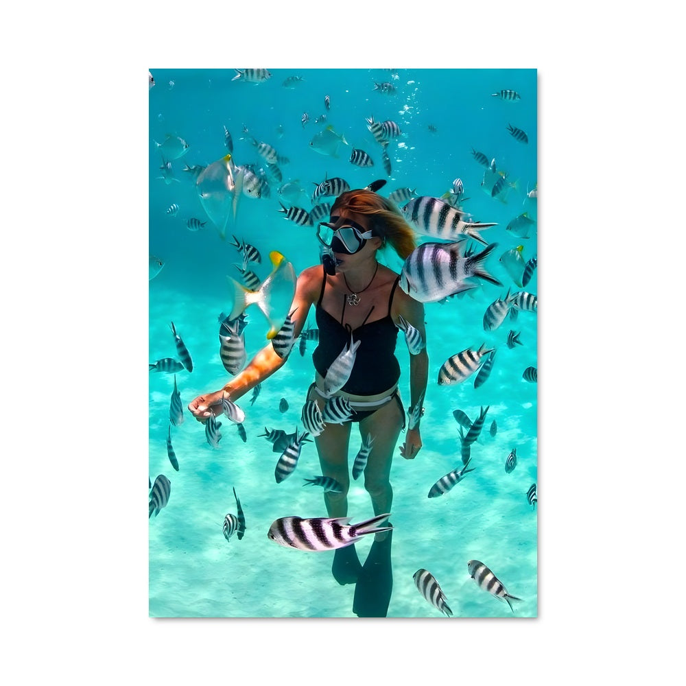 Poster Plongée aux Seychelles