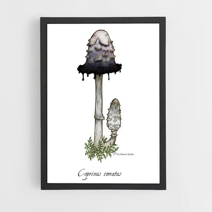 ap-shaggy ink cap-3 cadre Noir