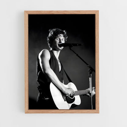 ap-shawn mendes-13 cadre Bois clair