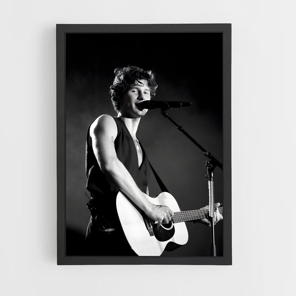 ap-shawn mendes-13 cadre Noir
