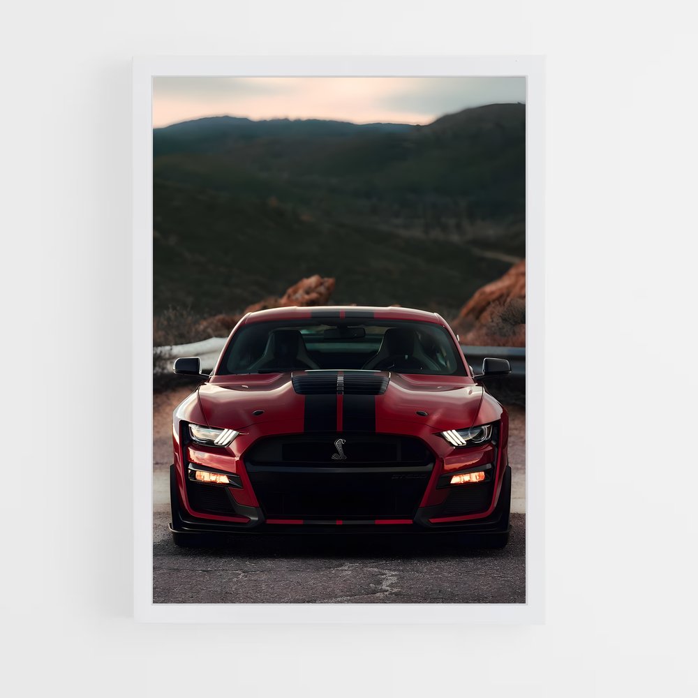 ap-shelby-3 cadre Blanc