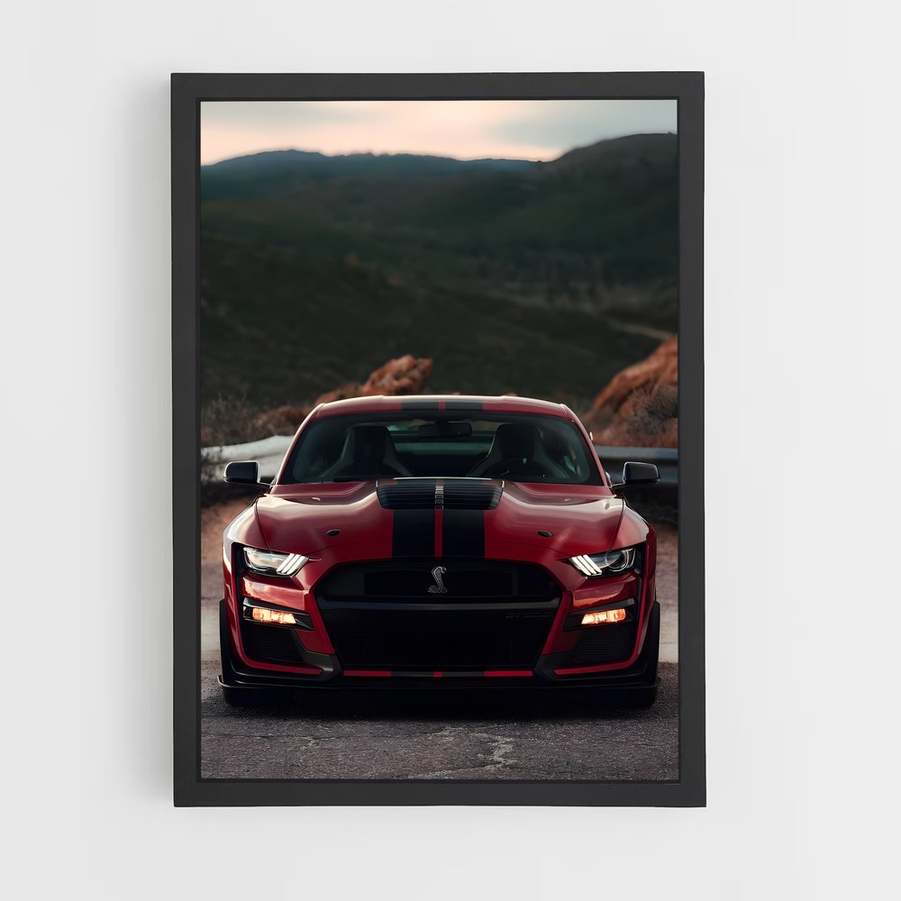 ap-shelby-3 cadre Noir