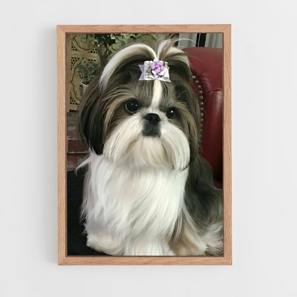 ap-shih tzu-2 cadre Bois clair