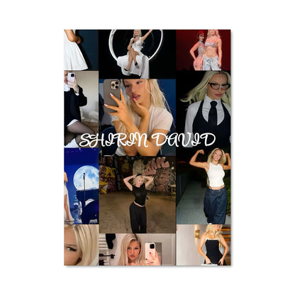 Poster Shirin david 54513