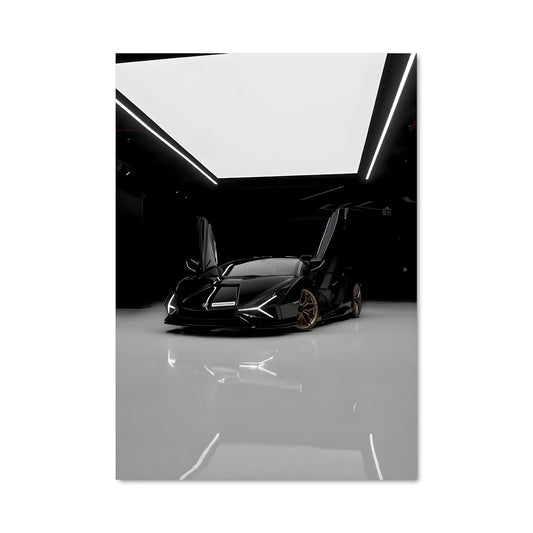 Poster Sian Noir et Blanc